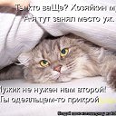 ���� *���*-��, ������ - ��������� 22 ������ 2014 � ������ ������ ��������