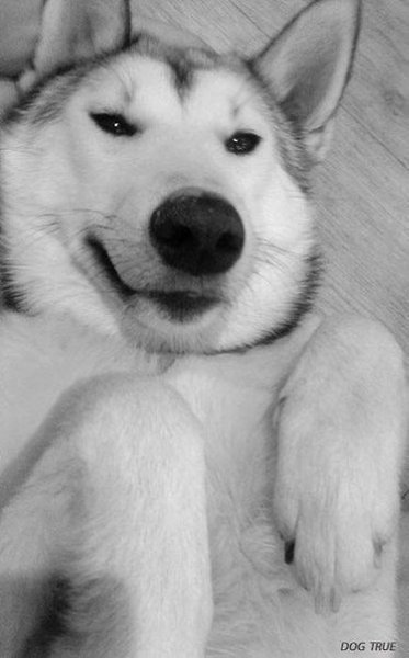        ?:D