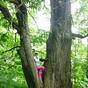  , -, 63  -  29  2014    