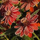 ���� ������, ��������� - ��������� 19 ������� 2014 � ������ ������ ��������