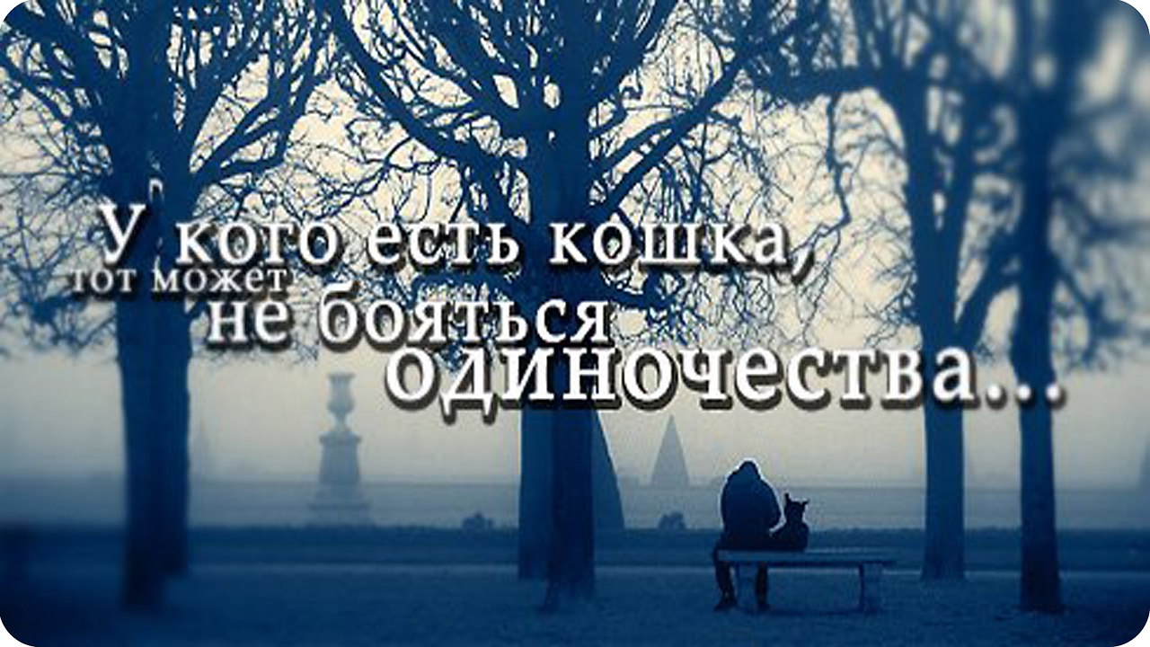       -   : https://fotostrana.ru/away?to=/sl/9x2