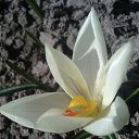 ���� �������, ������, 58 ��� - ��������� 1 ������ 2014 � ������ ��������