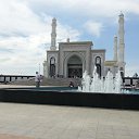 ���� ���������, ���������, 37 ��� - ��������� 31 ����� 2014 � ������ ���� ����������