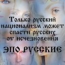 ���� �������, �����-���������, 51 ��� - ��������� 21 ������ 2014 � ������ ������ ��������