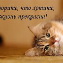���� ...[�a]_�voe_so L��e..., ������ - ��������� 1 ������ 2014 � ������ ������ ��������