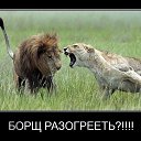 ���� ����, ���������, 36 ��� - ��������� 30 ���� 2014 � ������ �������