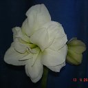 ���� ������, ���-�����, 48 ��� - ��������� 13 ������ 2014 � ������ ������ ��������