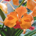 ���� ������, ������������, 60 ��� - ��������� 16 ����� 2014 � ������ ��������