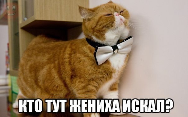 ���� � ������� - 24 ��� 2014 � 01:37