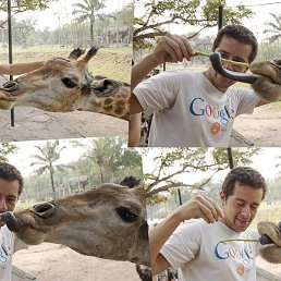 Khao Kheow Open Zoo, Thailand
