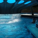 ���� ����, ���������� - ��������� 13 ������� 2014 � ������ ���� ����������