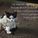 ���� �����, �������, 52 ���� - ��������� 4 ���� 2014 � ������ ������ ��������