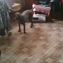 ���� �������, �����, 62 ���� - ��������� 23 ������ 2014 � ������ ���������