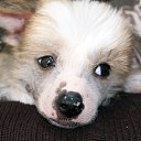 ���� �����, ����, 59 ��� - ��������� 20 ���� 2014 � ������ ������ ��������