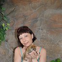 ���� ������, ������������ - ��������� 2 ������� 2014 � ������ ��������