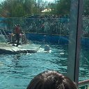 ���� ����������, ������� �����, 30 ��� - ��������� 27 ������ 2014 � ������ ������ ��������