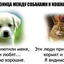 ���� ������, ����� - ��������� 7 ������ 2014 � ������ ���� ����������