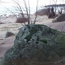  Dark    , -, 43  -  4  2014   23.03.14