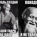 ���� ������, �������, 41 ��� - ��������� 20 ���� 2014 � ������ ������ ��������