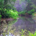 ���� �����, �����-��������� - ��������� 21 ���� 2014 � ������ ���� ������� ����