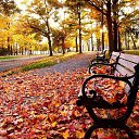 ���� Tatiana, ����������� - ��������� 24 ���� 2014 � ������ ������ ��������