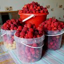 ����) ���� 2014 �� ������� �� ��� - ��������!!!)))�