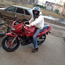 ���� ������, �����-���������, 41 ��� - ��������� 28 ����� 2014 � ������ ���� ����������