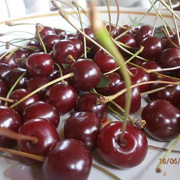 ��������, �����