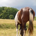 � ��� - ���� �� ������� ���������ʻ