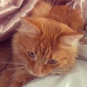 ���� �����, �����������, 38 ��� - ��������� 24 ���� 2014 � ������ ������ ��������