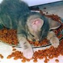 �����))) �� ������� ���� ����������