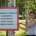 ���� ������, ������������, 41 ��� - ��������� 27 ���� 2014 � ������ �����