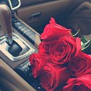 ���� ����, ������, 53 ���� - ��������� 10 ������� 2014 � ������ ������ ��������