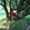 ���� ����, ������, 40 ��� - ��������� 27 ��� 2014 � ������ ������ ��������