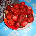 ������� �������,����������!28 ����. �� ������� ���� ����������