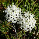 ���� ������, �����, 66 ��� - ��������� 2 ���� 2014 � ������ ���� ����������