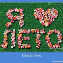 ���� �����, ������ - ��������� 11 ���� 2014 � ������ ���� ����������