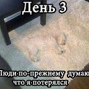 ���� ����, ��������� - ��������� 3 ���� 2014 � ������ ������ ��������