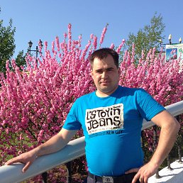 ������, ���������, 44 ����