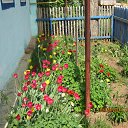 ���� ���������, ������, 55 ��� - ��������� 15 ��� 2014 � ������ ���� ����������