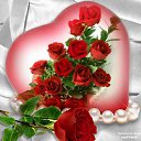 ���� �������, ������� - ��������� 28 ���� 2014 � ������ ������ ��������