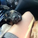 ���� ����, ����, 40 ��� - ��������� 14 ������ 2014 � ������ ������ ��������