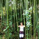 ���� �����, �������� - ��������� 26 ���� 2014 � ������ ���� ����������