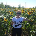 ���� �����, �������, 62 ���� - ��������� 8 ������� 2014