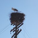 ���������!