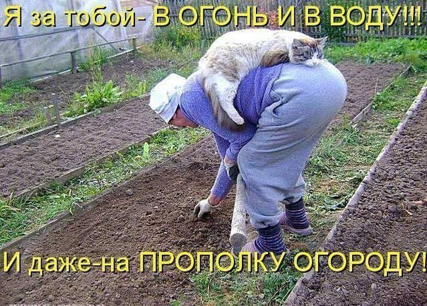  -  - 5  2014  14:40