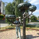 ���� ��������, ������� - ��������� 6 ���� 2014