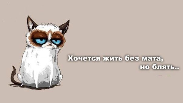 ���� - 4 ������ 2014 � 12:56