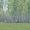 ������� �� ������� ���� ����������