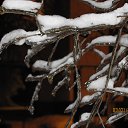 ���� �����, ������ - ��������� 24 ��� 2014 � ������ ������ ��������